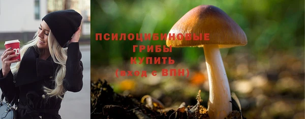 СК Аркадак