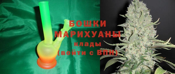 сатива Арсеньев